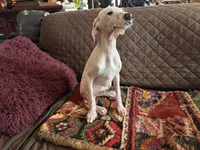 processed/89c19b57-d1fd-4274-888c-2f8b8da42dc8/listing/7abdd5c8-12c9-44aa-aa1f-377f0129421b/70f89f8e-3d39-4da7-9e99-58fbc7481091