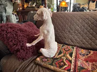 processed/89c19b57-d1fd-4274-888c-2f8b8da42dc8/listing/7abdd5c8-12c9-44aa-aa1f-377f0129421b/d3804fa6-fd54-4134-85d1-5b8be9d8b53d