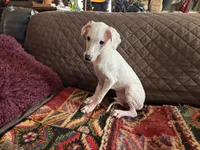 processed/89c19b57-d1fd-4274-888c-2f8b8da42dc8/listing/7abdd5c8-12c9-44aa-aa1f-377f0129421b/dd941c7f-7f89-470b-9c84-0004bc4324a9