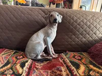 processed/89c19b57-d1fd-4274-888c-2f8b8da42dc8/listing/9e8643f5-c306-482d-8deb-30e830475ce9/4f499369-a445-4a42-a2d1-5019ccf0ebbe