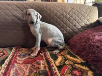 processed/89c19b57-d1fd-4274-888c-2f8b8da42dc8/listing/9e8643f5-c306-482d-8deb-30e830475ce9/63ec2db7-317c-4de6-b60c-69ed5dbead04