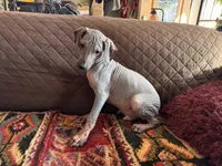 processed/89c19b57-d1fd-4274-888c-2f8b8da42dc8/listing/9e8643f5-c306-482d-8deb-30e830475ce9/a577b73b-5b63-4798-90e8-3a58dc007a52