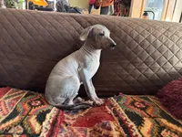 processed/89c19b57-d1fd-4274-888c-2f8b8da42dc8/listing/9e8643f5-c306-482d-8deb-30e830475ce9/bc23a8b6-1eb3-47e3-abc4-50119ab57974