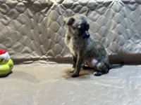 processed/89c19b57-d1fd-4274-888c-2f8b8da42dc8/listing/af5460b4-e6c1-467c-9bfc-b0e73281cbce/97c408fe-0229-436f-a9bc-54fc6f3e763d