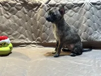 processed/89c19b57-d1fd-4274-888c-2f8b8da42dc8/listing/af5460b4-e6c1-467c-9bfc-b0e73281cbce/a89f7642-7fe1-4196-8a19-2e6439d8fffd