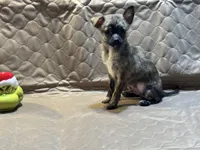 processed/89c19b57-d1fd-4274-888c-2f8b8da42dc8/listing/af5460b4-e6c1-467c-9bfc-b0e73281cbce/b3540bfe-a6a3-44f4-be7f-d12ae32ef21f