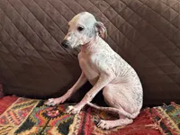 processed/89c19b57-d1fd-4274-888c-2f8b8da42dc8/listing/f239d2d8-d617-4fc5-8fb9-3870aae3c9e6/0786e224-faf9-4876-ae59-953e1dee7fbd