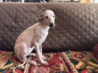 processed/89c19b57-d1fd-4274-888c-2f8b8da42dc8/listing/f239d2d8-d617-4fc5-8fb9-3870aae3c9e6/60b5869c-8616-40ac-829a-dce854dcf247