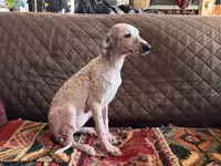 processed/89c19b57-d1fd-4274-888c-2f8b8da42dc8/listing/f239d2d8-d617-4fc5-8fb9-3870aae3c9e6/bf5cfe9d-0b42-4332-9f58-b1dc7e42b09a