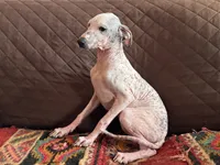 processed/89c19b57-d1fd-4274-888c-2f8b8da42dc8/listing/f239d2d8-d617-4fc5-8fb9-3870aae3c9e6/dca564fc-51ce-4589-9b23-bdc7e2ff0a4b