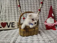 processed/89c4df56-3535-4dc3-bf48-ed4f8389e8c7/listing/06ce0f65-8bcc-48c0-81a8-4417f1bb3601/30ce5128-598d-4284-ad4a-782363cb1f18