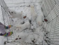 processed/89c4df56-3535-4dc3-bf48-ed4f8389e8c7/listing/06ce0f65-8bcc-48c0-81a8-4417f1bb3601/3697726c-67d9-485a-ab6b-6fd6ab0a3003