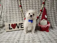 processed/89c4df56-3535-4dc3-bf48-ed4f8389e8c7/listing/06ce0f65-8bcc-48c0-81a8-4417f1bb3601/abbabac8-a810-42d7-8337-a12ef4d61a58