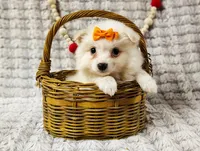 processed/89c4df56-3535-4dc3-bf48-ed4f8389e8c7/listing/06ce0f65-8bcc-48c0-81a8-4417f1bb3601/e42a3845-6a56-4fdd-a60d-15ad8f15c5b5