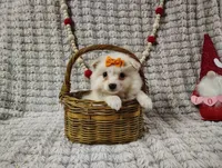 processed/89c4df56-3535-4dc3-bf48-ed4f8389e8c7/listing/06ce0f65-8bcc-48c0-81a8-4417f1bb3601/f91e6b46-6e04-4182-a985-5e6d8d155e3f