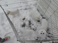 processed/89c4df56-3535-4dc3-bf48-ed4f8389e8c7/listing/5cda6c4d-753f-4dce-9a01-810a693cd761/3e43134e-7d4c-404e-8ed7-a19d93eb1864