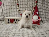 processed/89c4df56-3535-4dc3-bf48-ed4f8389e8c7/listing/8715849a-a71f-49d6-9375-dbf5ffd7c386/c3f3c61d-8ec5-464a-aead-66ea04a3223a