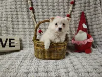 processed/89c4df56-3535-4dc3-bf48-ed4f8389e8c7/listing/8715849a-a71f-49d6-9375-dbf5ffd7c386/ed66df4d-1efe-4be2-bbef-39b7e21af47c