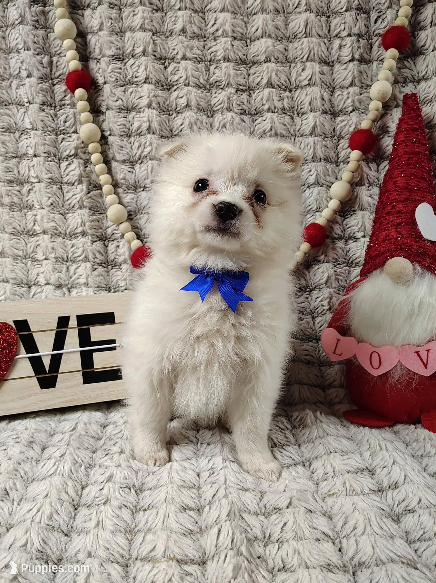 processed/89c4df56-3535-4dc3-bf48-ed4f8389e8c7/listing/ba52bb2f-67c3-48f7-bc8b-8d38f1e660b9/06b2abf8-ed1d-4b8d-83da-f7f3d7ef4ccd