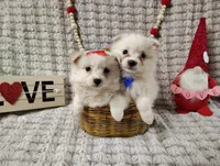 processed/89c4df56-3535-4dc3-bf48-ed4f8389e8c7/listing/ba52bb2f-67c3-48f7-bc8b-8d38f1e660b9/152b9078-436d-4d39-b154-7bd24d423eec