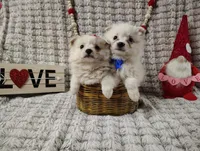 processed/89c4df56-3535-4dc3-bf48-ed4f8389e8c7/listing/ba52bb2f-67c3-48f7-bc8b-8d38f1e660b9/381bdb82-5911-4f4b-b18d-37915ea7b29e