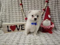 processed/89c4df56-3535-4dc3-bf48-ed4f8389e8c7/listing/ba52bb2f-67c3-48f7-bc8b-8d38f1e660b9/c73fcfe4-a6ae-484f-ae04-9ebf1951c4bd