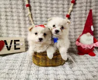 processed/89c4df56-3535-4dc3-bf48-ed4f8389e8c7/listing/ba52bb2f-67c3-48f7-bc8b-8d38f1e660b9/d936011b-ed6e-43c7-b6ad-8758586f413b