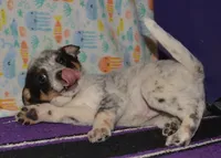 processed/89dd4884-0c14-45d2-9edf-5145f4da8bb4/listing/8fd46e61-ced8-4e40-b383-15f7494d0955/f62a0ad4-a9f7-4d3c-adb7-e2a479fdf6b4