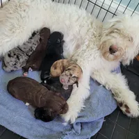 processed/89dffb25-b4f2-48dd-8699-cab6aaf64cb6/facility/14dc1322-f3dc-4da7-b992-bf62a817f850