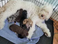 processed/89dffb25-b4f2-48dd-8699-cab6aaf64cb6/facility/14dc1322-f3dc-4da7-b992-bf62a817f850