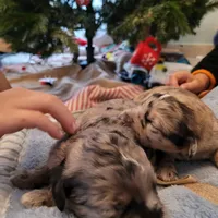 processed/89dffb25-b4f2-48dd-8699-cab6aaf64cb6/facility/1f1e4249-1643-458c-8bec-48707bf81d61