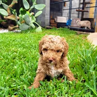 processed/89dffb25-b4f2-48dd-8699-cab6aaf64cb6/facility/4cb549f0-e230-4769-92af-a262b3d922b7