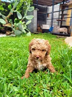 processed/89dffb25-b4f2-48dd-8699-cab6aaf64cb6/facility/4cb549f0-e230-4769-92af-a262b3d922b7