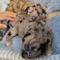 processed/89dffb25-b4f2-48dd-8699-cab6aaf64cb6/facility/5cb3ca29-ec10-4692-bb1f-ff2308bddd9d