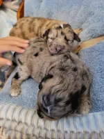 processed/89dffb25-b4f2-48dd-8699-cab6aaf64cb6/facility/5cb3ca29-ec10-4692-bb1f-ff2308bddd9d