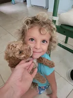 processed/89dffb25-b4f2-48dd-8699-cab6aaf64cb6/facility/7c70117b-d24a-4d8a-8f76-1ad2065fc22b