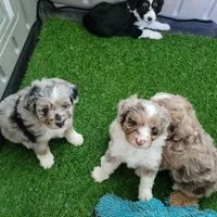 processed/89dffb25-b4f2-48dd-8699-cab6aaf64cb6/facility/967b1b93-93b9-4e1a-b0ed-ed1e36f7eb89