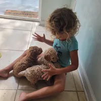 processed/89dffb25-b4f2-48dd-8699-cab6aaf64cb6/facility/a76fcd77-f8e6-42d7-b169-0f80cfd6c712