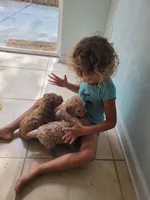 processed/89dffb25-b4f2-48dd-8699-cab6aaf64cb6/facility/a76fcd77-f8e6-42d7-b169-0f80cfd6c712