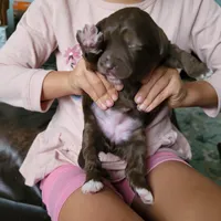 processed/89dffb25-b4f2-48dd-8699-cab6aaf64cb6/facility/b1119650-21fc-4bb9-930b-8f74a41acf23