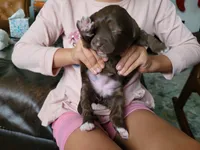 processed/89dffb25-b4f2-48dd-8699-cab6aaf64cb6/facility/b1119650-21fc-4bb9-930b-8f74a41acf23