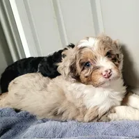 processed/89dffb25-b4f2-48dd-8699-cab6aaf64cb6/facility/b7f41eee-b035-4a52-a71b-d3a8c1d8059c