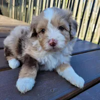 processed/89dffb25-b4f2-48dd-8699-cab6aaf64cb6/facility/b860ff3c-15f0-4e13-949f-9a77a29b1207