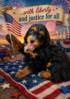 Justice, a male Miniature Bernedoodle for sale in Daytona Beach, FL – 2 of 2