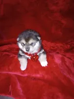 processed/89e1ed52-c63a-4354-ba9d-4c5e774e6d31/listing/451e9e68-4942-4fbb-9e45-9e7f71998e73/52ce5124-3d73-44dd-a0e2-4d521c7c6759