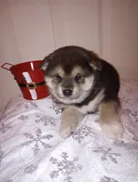 processed/89e1ed52-c63a-4354-ba9d-4c5e774e6d31/listing/451e9e68-4942-4fbb-9e45-9e7f71998e73/616a5246-e448-460d-9289-fd54eb16ee0f