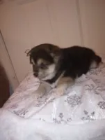 processed/89e1ed52-c63a-4354-ba9d-4c5e774e6d31/listing/451e9e68-4942-4fbb-9e45-9e7f71998e73/83ba139c-9849-43e4-bdaf-abf8b2b76df0