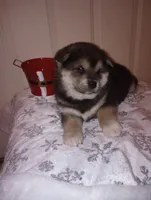 processed/89e1ed52-c63a-4354-ba9d-4c5e774e6d31/listing/451e9e68-4942-4fbb-9e45-9e7f71998e73/e863d124-0147-4487-b20e-88fd3009d8ec