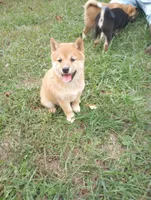 processed/89e1ed52-c63a-4354-ba9d-4c5e774e6d31/listing/77b57cc2-5097-448f-baf6-fcf89c571568/51c55707-9ae8-4857-a7ed-a7010e48514d