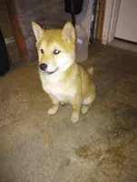 processed/89e1ed52-c63a-4354-ba9d-4c5e774e6d31/listing/77b57cc2-5097-448f-baf6-fcf89c571568/88c7b206-7563-4c4c-85d7-7962c65e8461